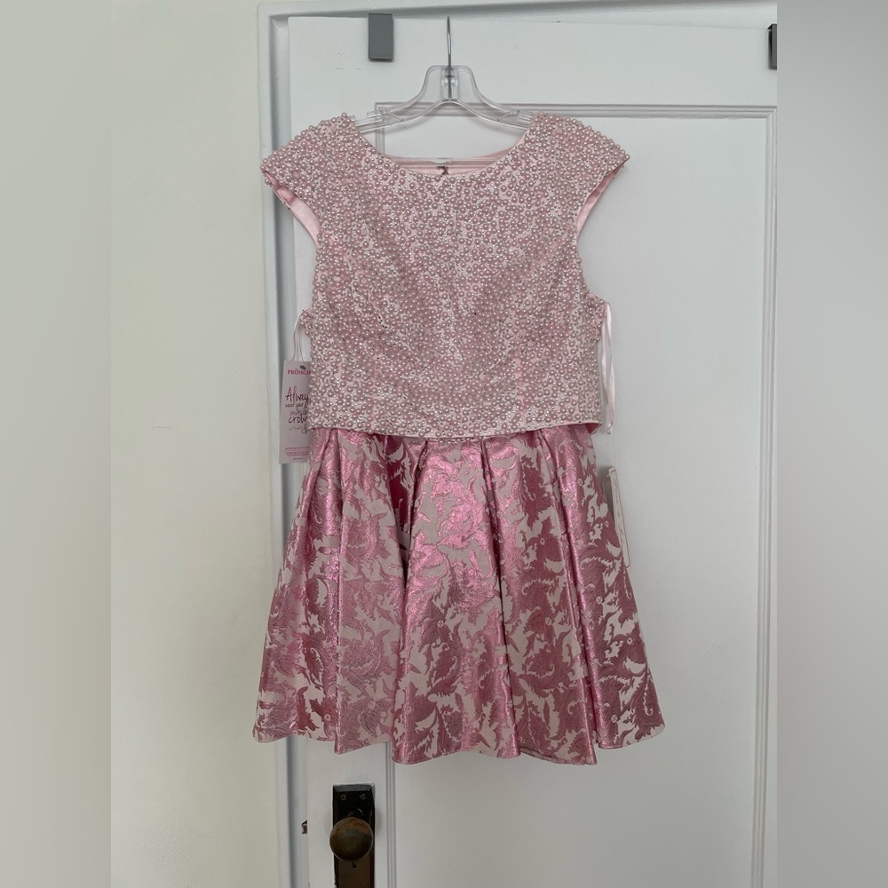 Gorgeous Pink Pearl Detailed Two Piece Dress